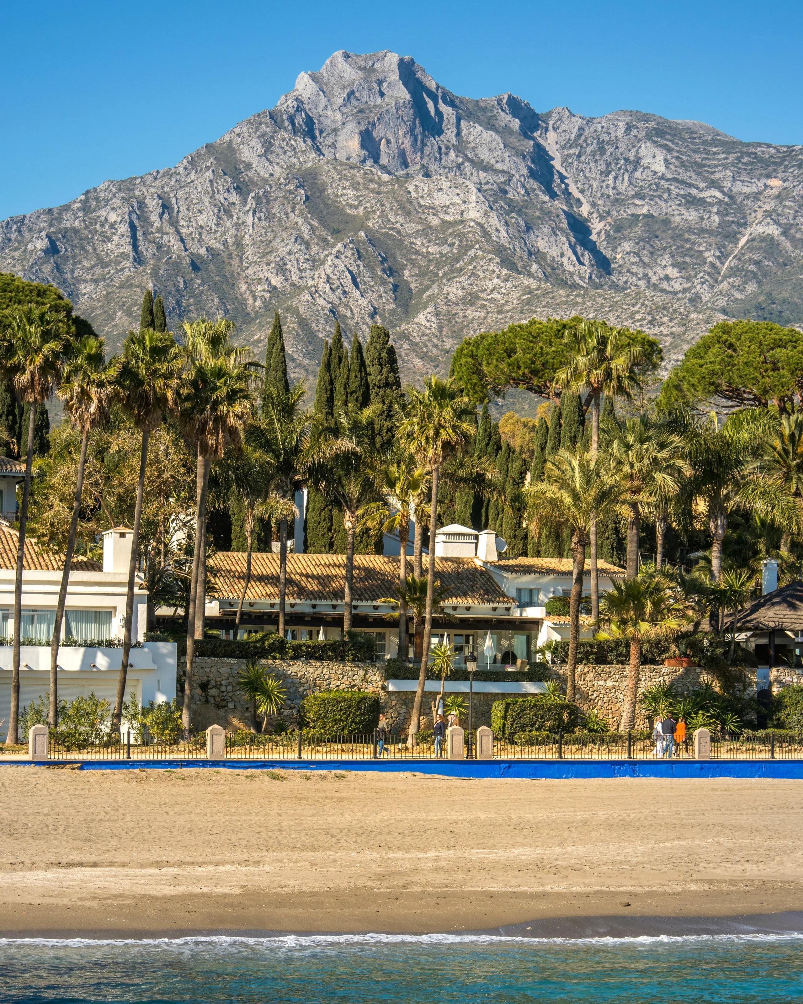 Marbella: beach, villas and palm trees below La Concha