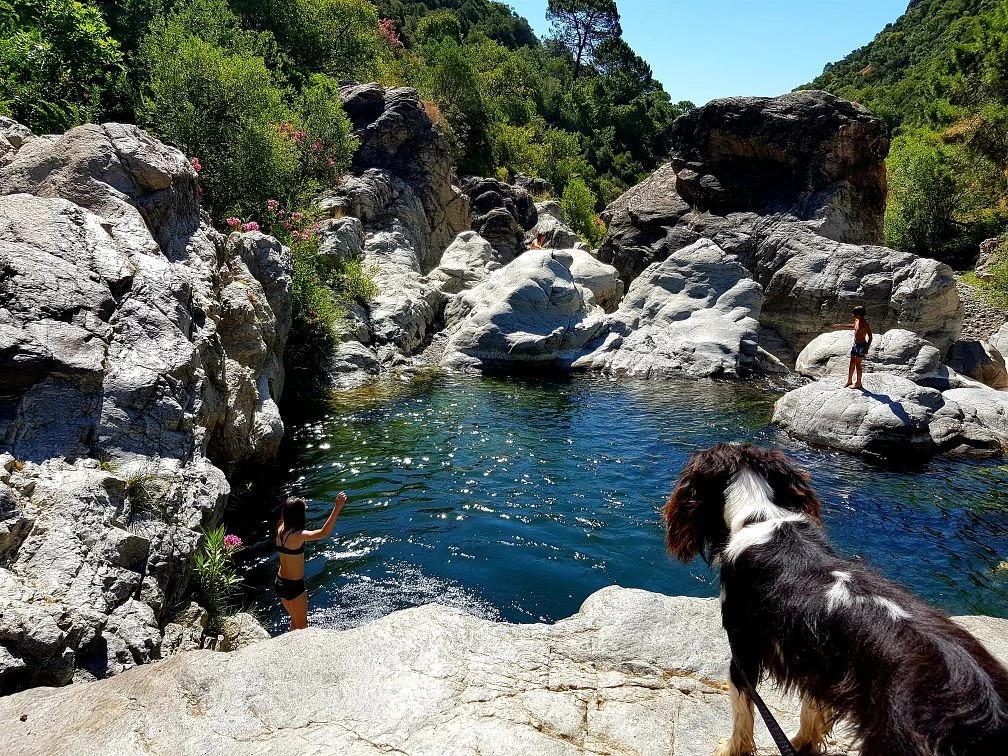 Benahavis – Activities