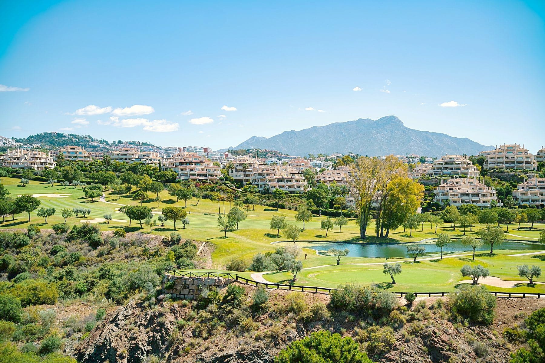 Golf course in Nueva Andalucía with a pond and stone pines below La Concha mountain